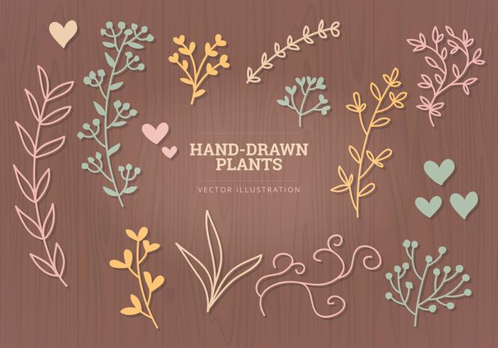 Vector Hand-drawn Elements