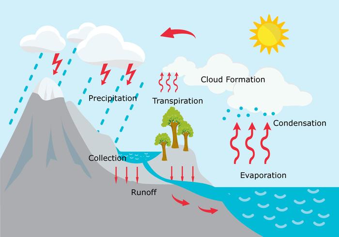 Ilustración del ciclo del agua vector