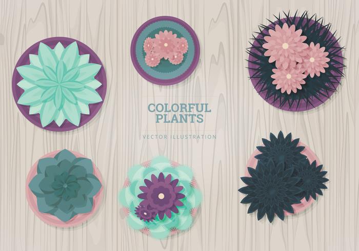 Plants Vector Illustration