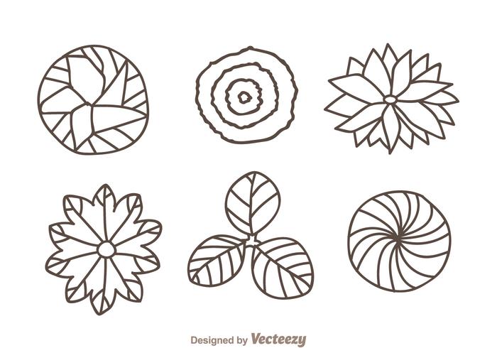 Plant Top View Hand Draw Icons vector