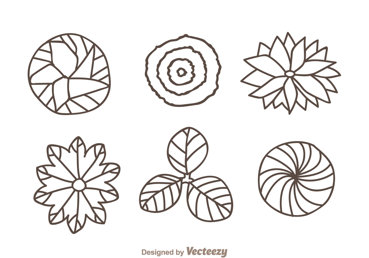 Top view Sketch Plant