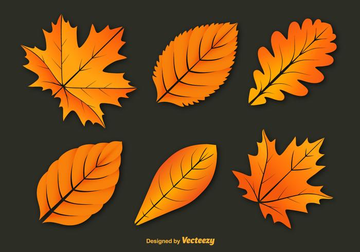 Colorful autumn leaves vectors