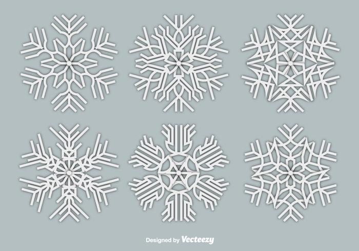 Paper white snowflakes vector