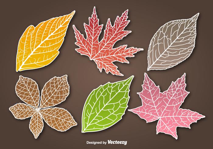 Autumn leaves sticker vectors