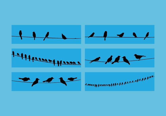 Birds On Wire Vector Set Birds On Wire Vector Set