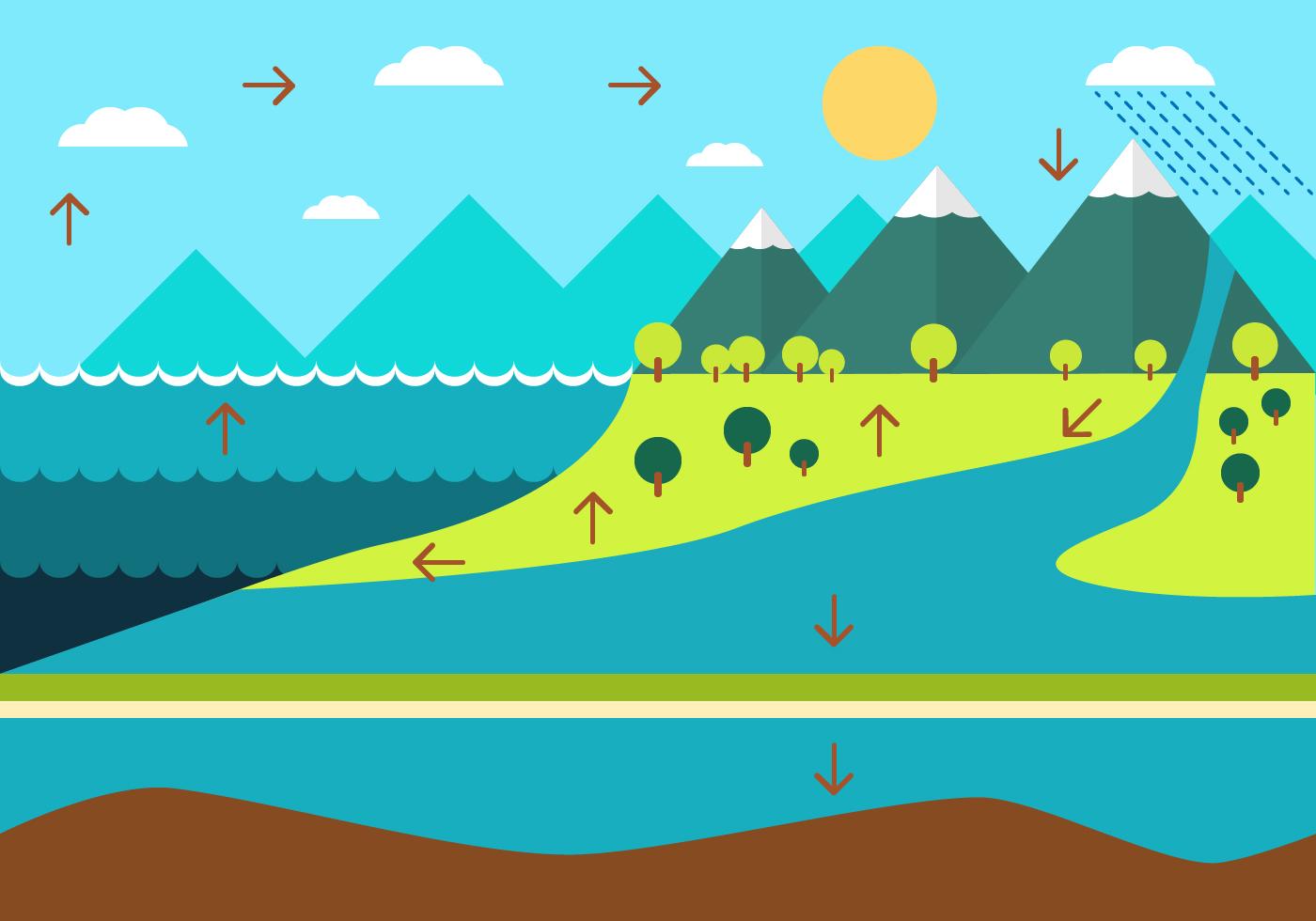 FREE WATER CYCLE DIAGRAM 99106 Vector Art at Vecteezy