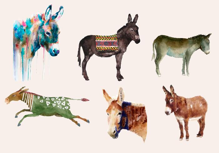 Donkey watercolor Donkey watercolor