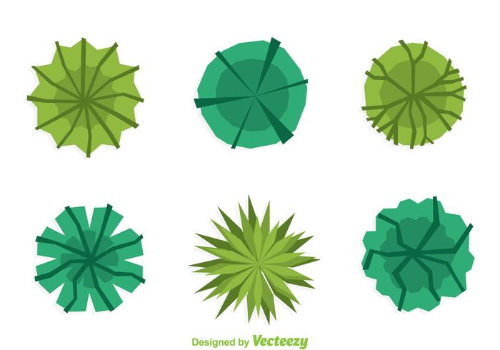 Plant Top View Flat Design vector