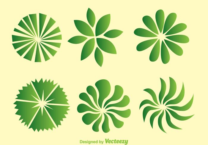 Green Trees Top View vector