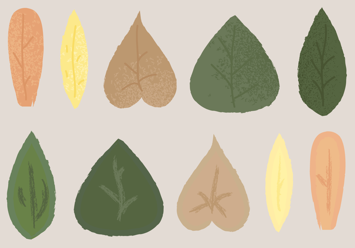 Free Leaves Vector