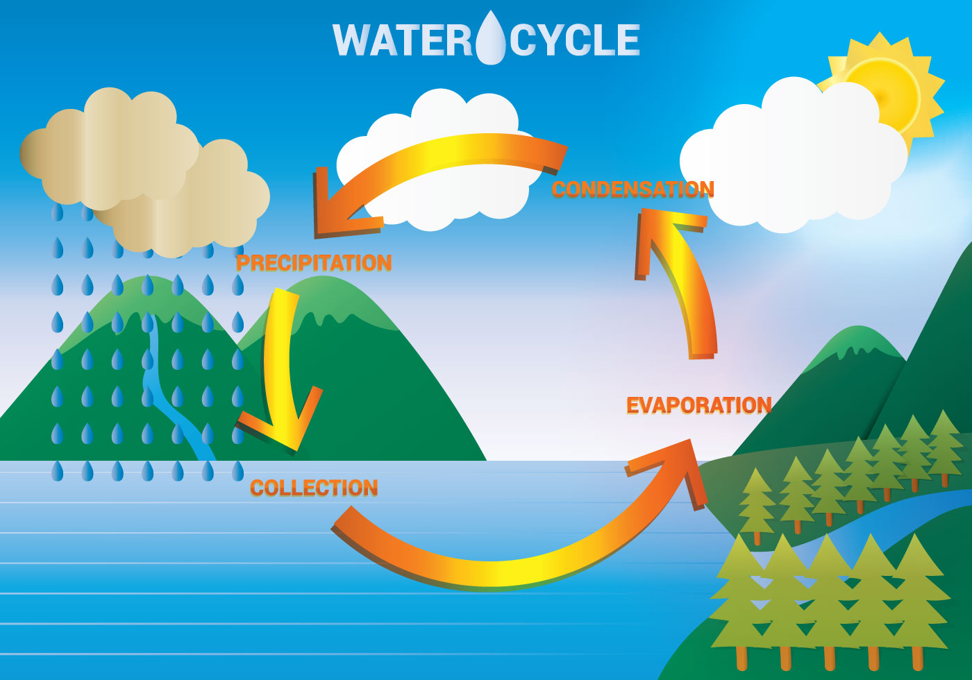Water Cycle Diagram Vector Art, Icons, and Graphics for Free Download