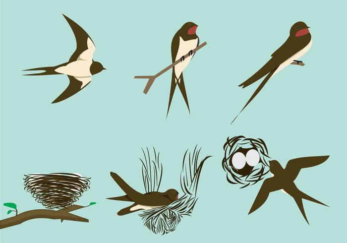 Swallows and the nests  vector