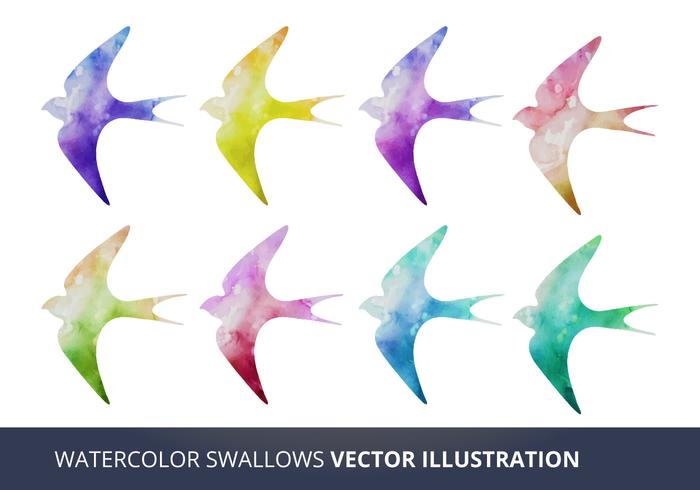 Watercolor Vector Swallows 993 Vector Art At Vecteezy