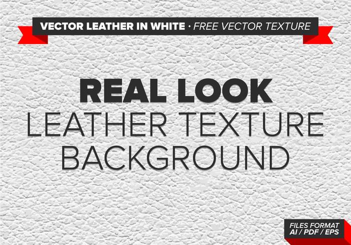 Vector Leather In White Free Vector Texture