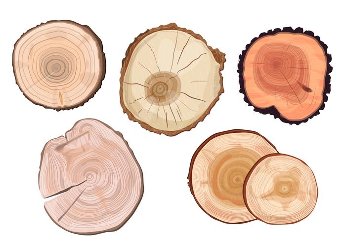 Tree Ring Vectors Tree Ring Vectors