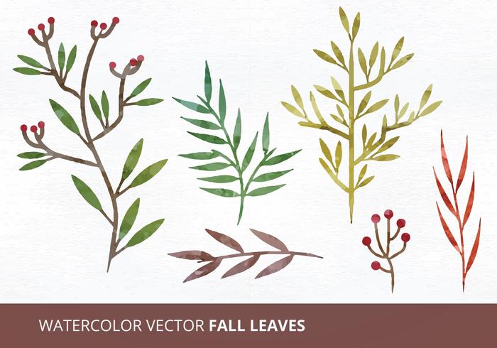 Watercolor Vector Leaves