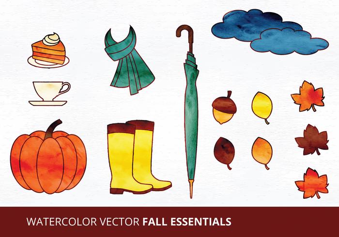 Fall Essentials Vector Illustrations