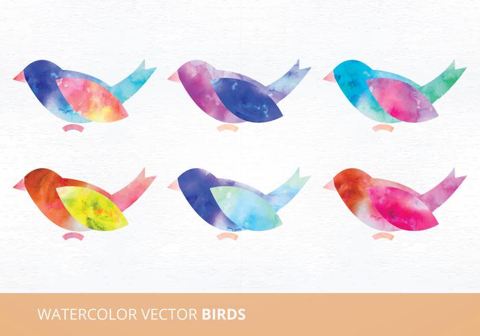 Acuarela Aves Ilustraciones Vectoriales vector