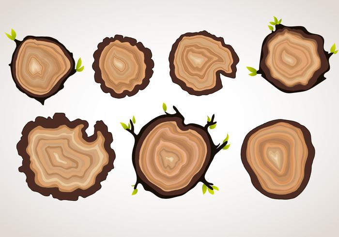 Vector Tree Ring Objects