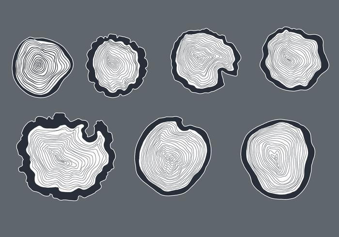 Hand Drawn Tree Ring Vector