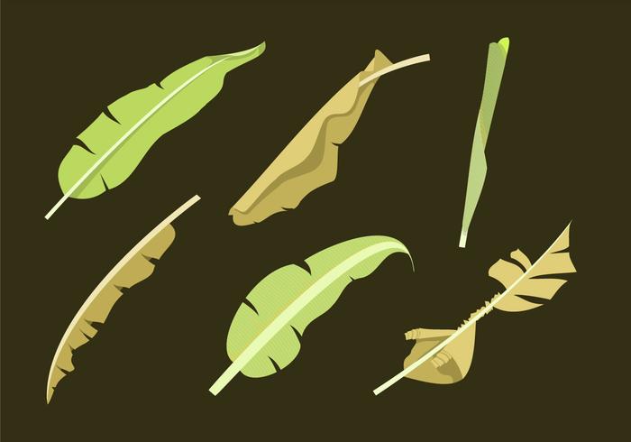 Banana Leaf Vectors