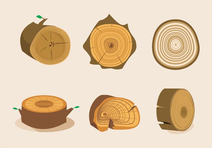 Tree Rings Texture Vector