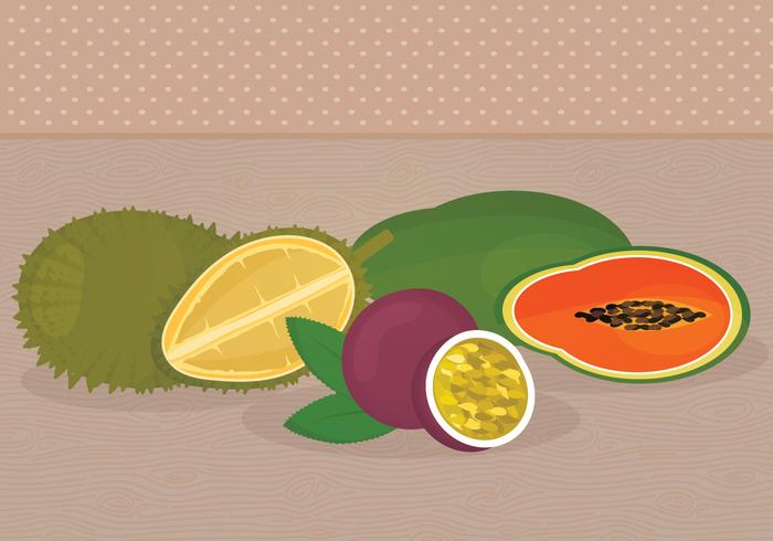 Exotic Fruits Vector Illustrations