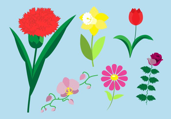 Conjunto de Especies de Flores vector