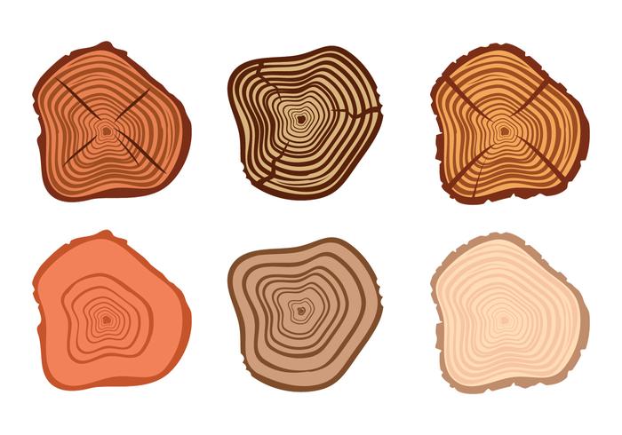 Tree Ring Vectors