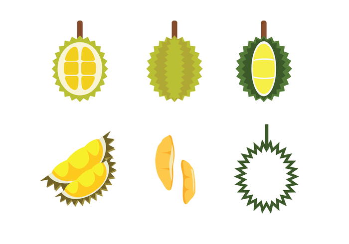 Free Durian Vector