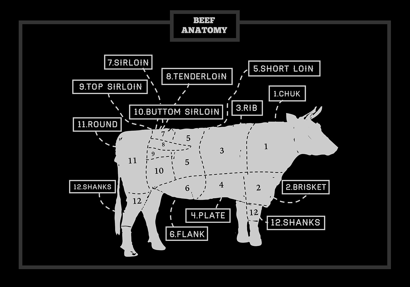 Cuts of Beef Anatomy Vector Illustration - Download Free 