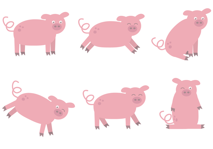 Pig Vector