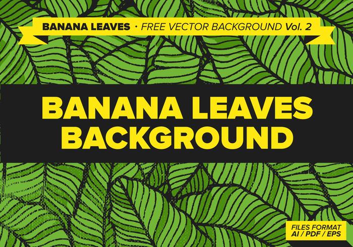 Banana Leaves Free Vector Background Vol. 2 Banana Leaves Free Vector Background Vol. 2