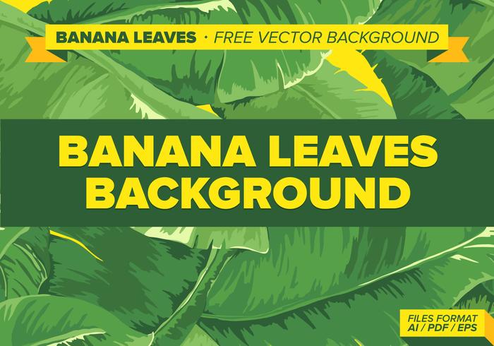 Banana Leaves Free Vector Background Banana Leaves Free Vector Background