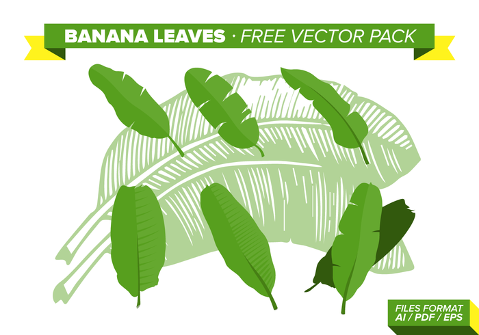 Banana Leaves Free Vector Pack