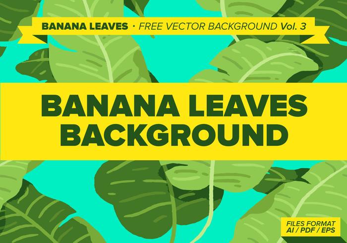 Banana Leaves Free Vector Background Vol. 3 Banana Leaves Free Vector Background Vol. 3