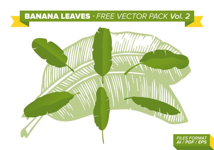 Banana Leaves Free Vector Pack Vol. 2 Banana Leaves Free Vector Pack Vol. 2