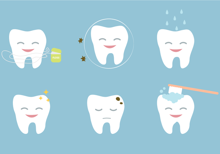 Vector libre de los dientes