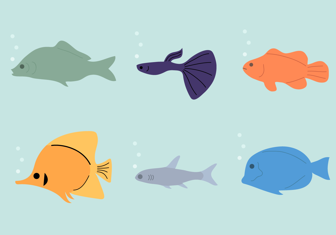 Fish Vector - Download Free Vector Art, Stock Graphics & Images