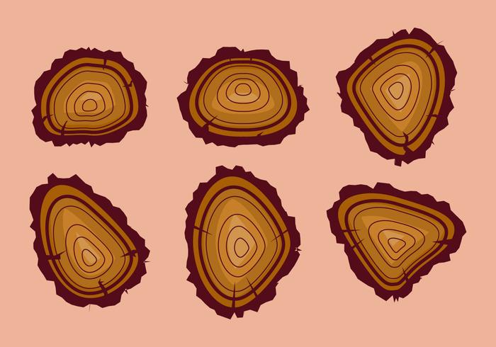 Free Tree Rings Vector Illustration 13