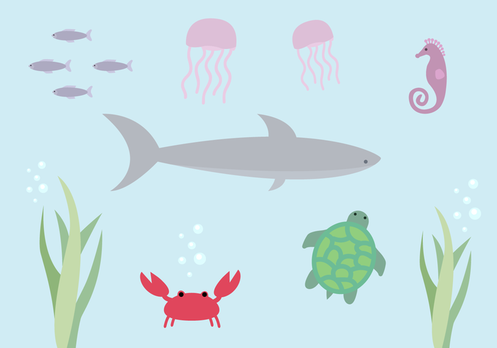 Free Aquatic Life Vector Free Aquatic Life Vector