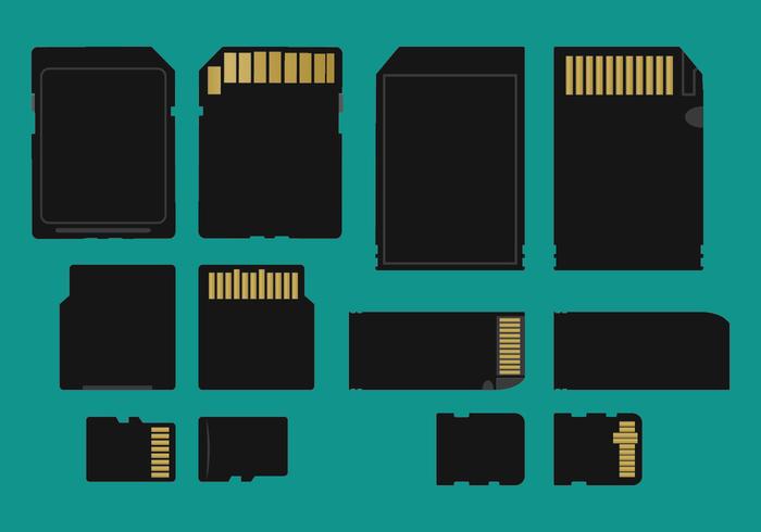 Memory Card Types Vector
