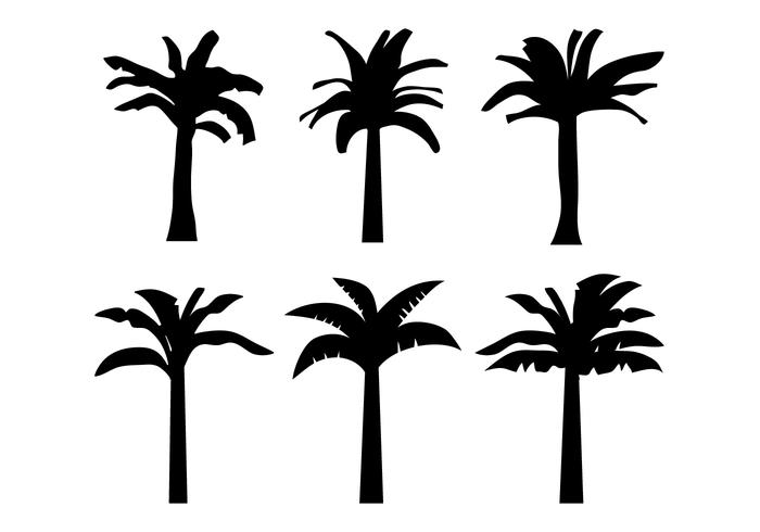 Banana Tree Vector Banana Tree Vector