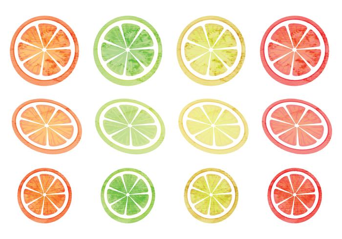 Vector Set of Citruses 