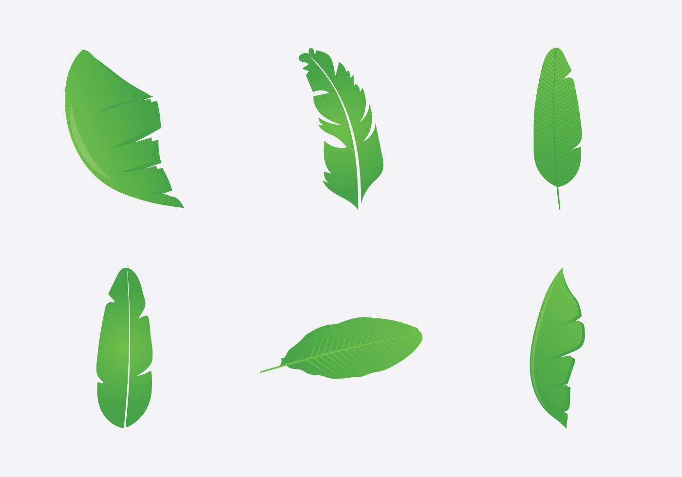 Free Banana Leaf Vector Illustration - Download Free Vector Art, Stock