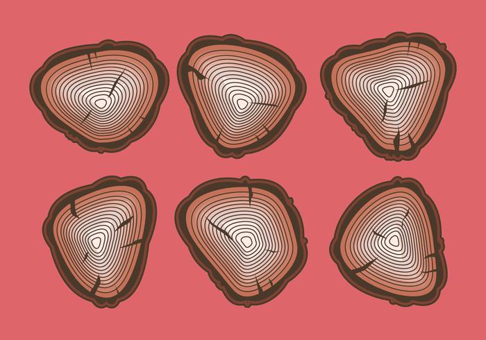 Free Tree Rings Vector Illustration 14