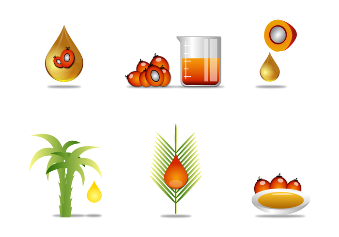 Palm Oil Vector