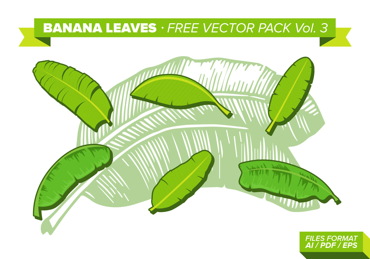 Hojas De Plátano Libre Vector Pack Vol. 3 Descargue Gráficos y