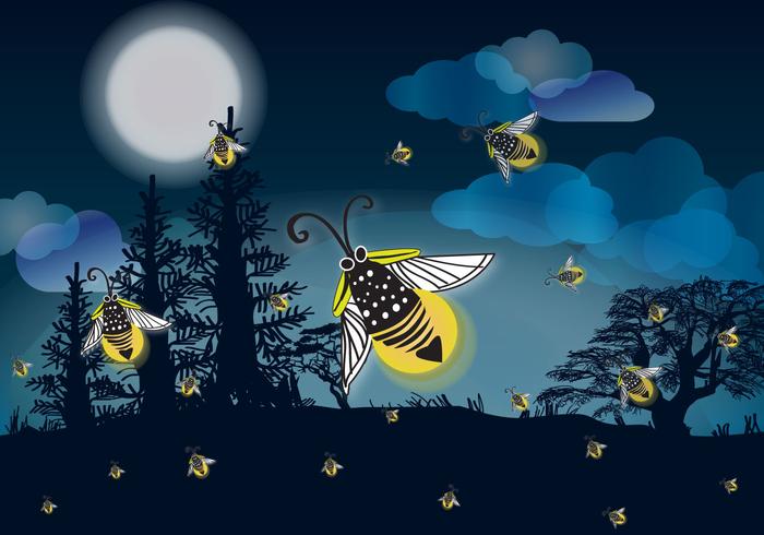 Firefly Nights - Download Free Vector Art, Stock Graphics & Images