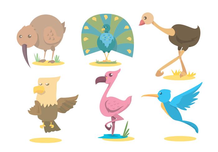 Exotic Bird Vector Set